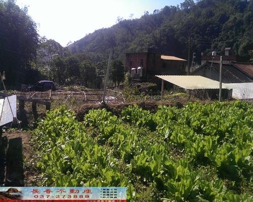 獅潭農地-3