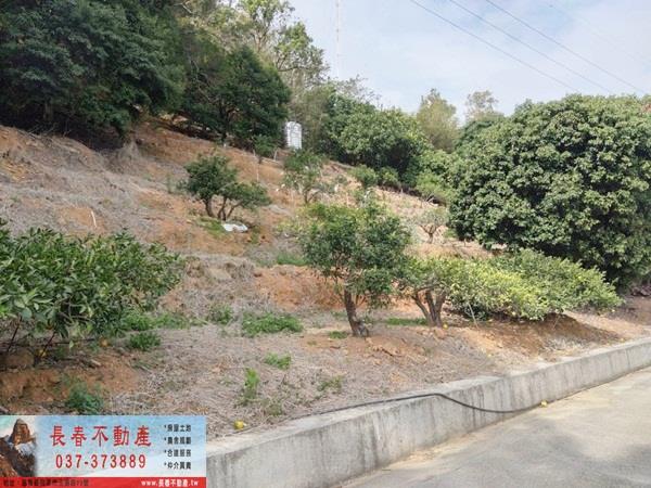 苗栗建地-7