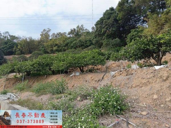 苗栗建地-8
