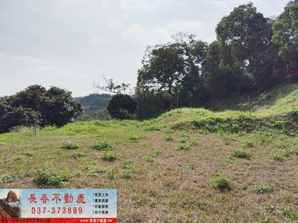 苗栗農地-1