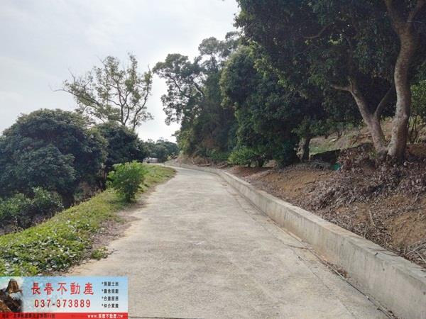 苗栗農地-6