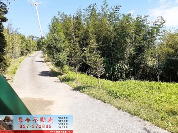 造橋農地-2