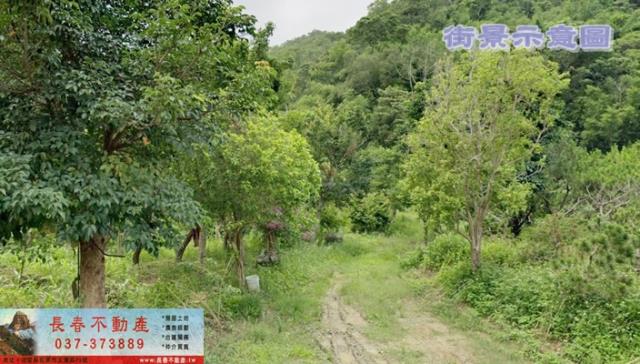 苗栗公館林地-0