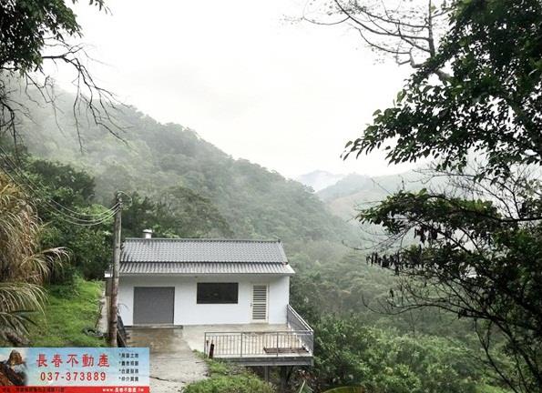 獅潭山坡地-4