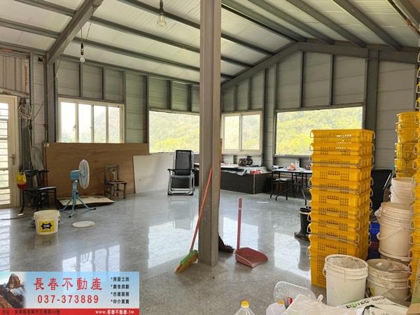 獅潭山坡地-6