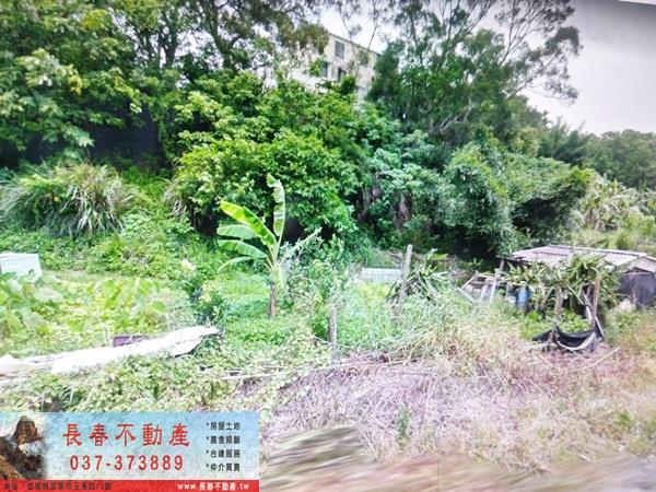 苗栗農地-1