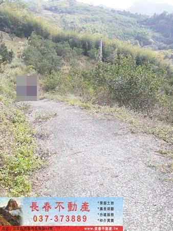 卓蘭農地-1