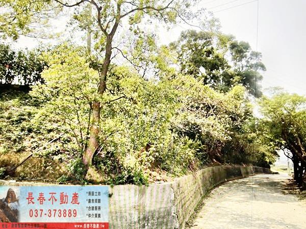 後龍農地-0