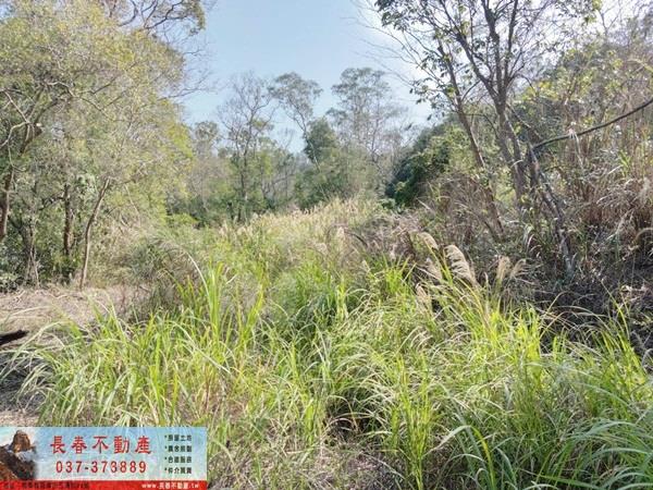 苗栗建地-3