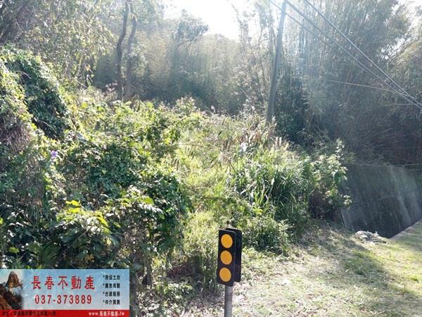 苗栗建地-6