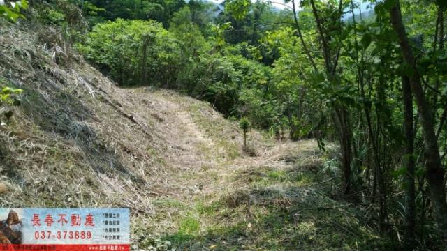 公館山坡地-1