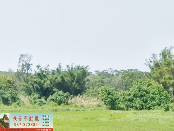 造橋農地-0