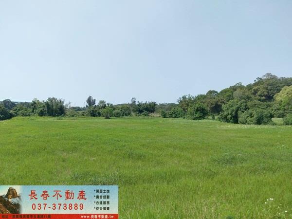 造橋農地-1
