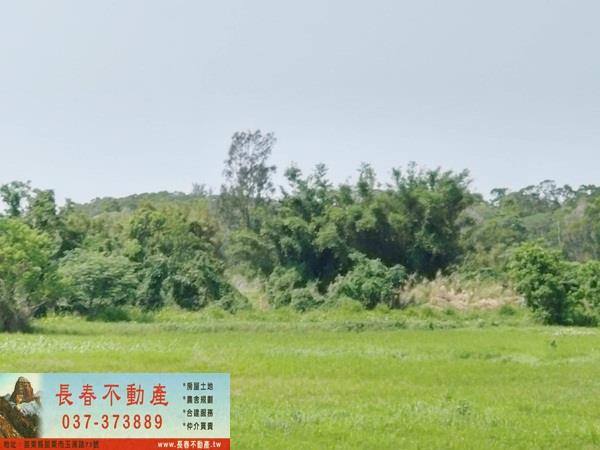 造橋農地-2