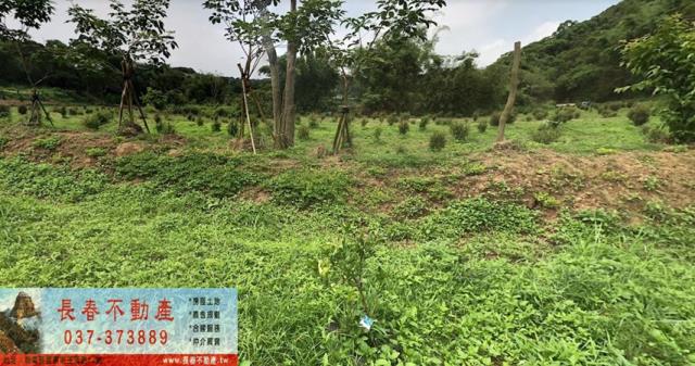 造橋農地-0