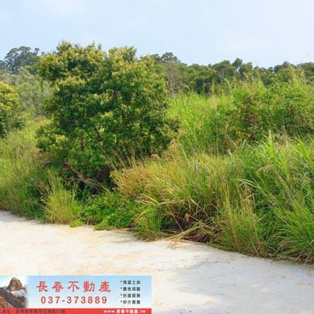 造橋山坡地-2