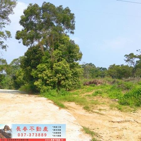 造橋山坡地-4