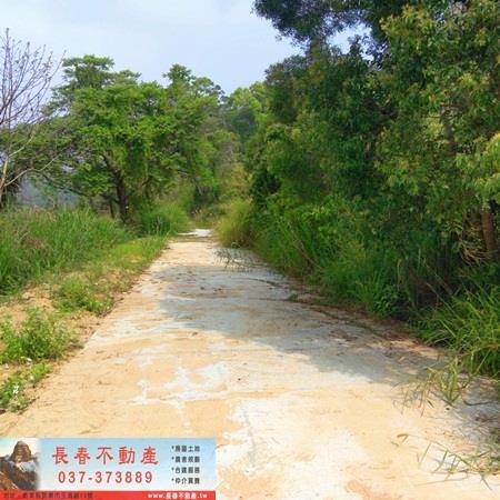 造橋山坡地-5