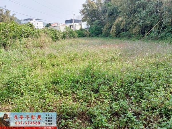 造橋農地-0