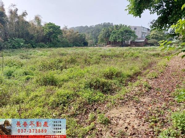 造橋農地-1