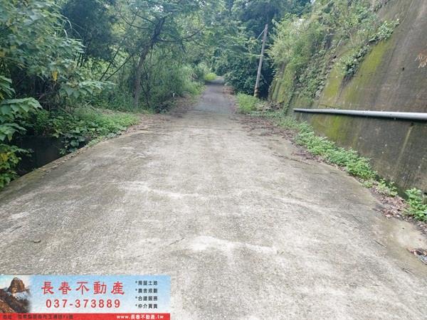 頭屋農地-4