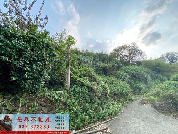苗栗卓蘭山坡地-0