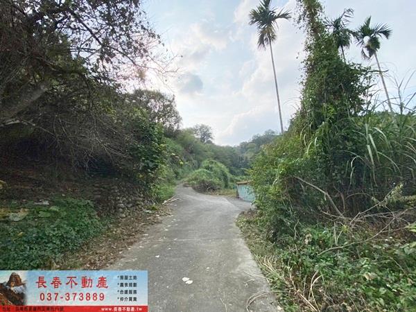 苗栗卓蘭山坡地-1