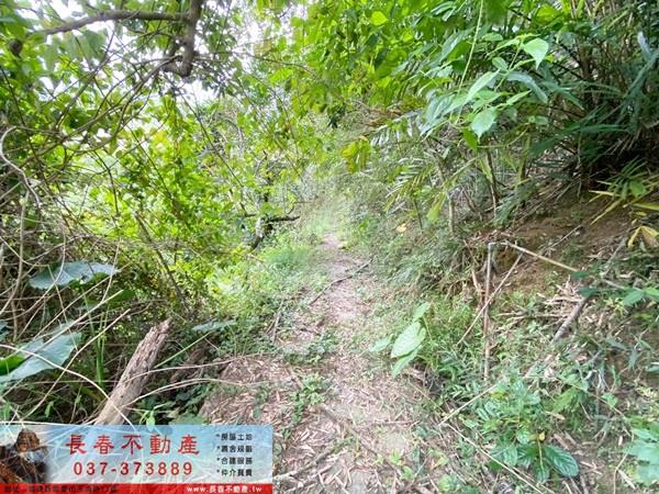 苗栗卓蘭山坡地-3
