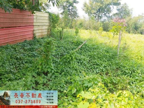 頭屋農地-2