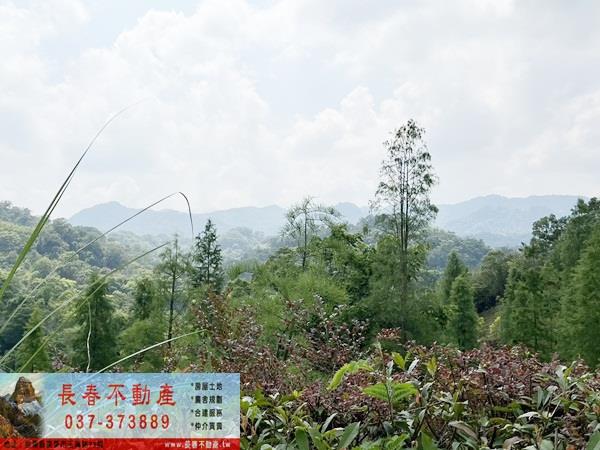 苗栗農地-6