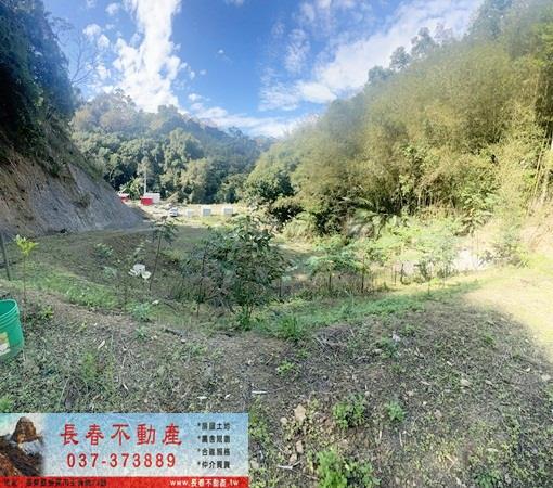 頭屋農地-1