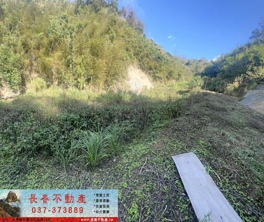 頭屋農地-3