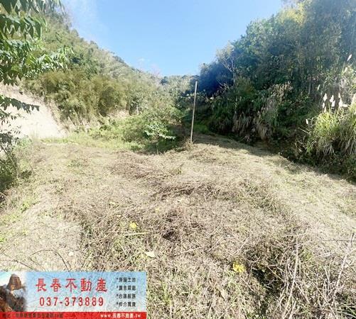 頭屋農地-4