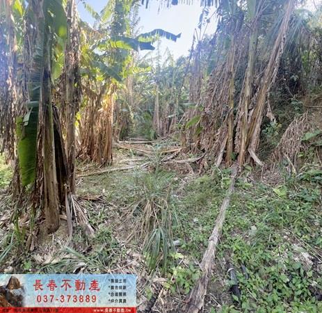 大湖農地-0