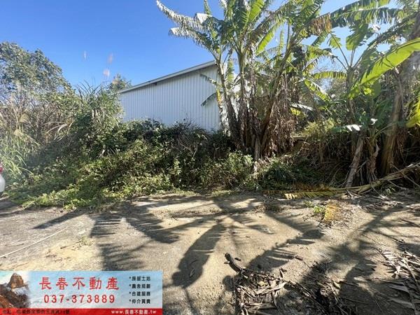 大湖農地-2