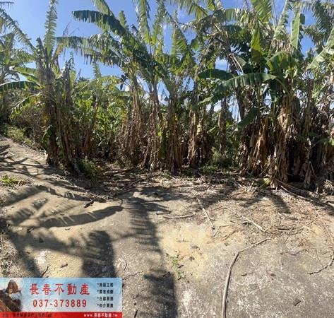 大湖農地-5