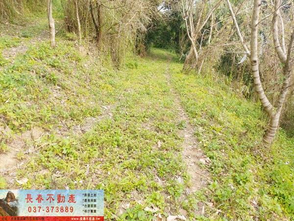 公館農地-3