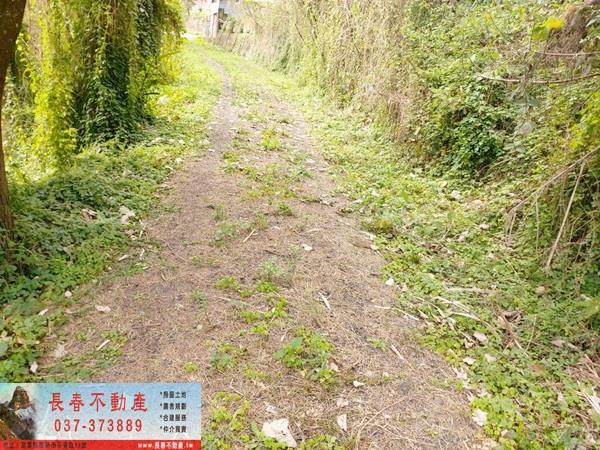 公館農地-5