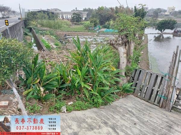 後龍農地-0