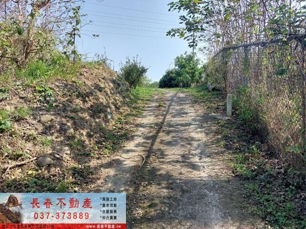 頭屋農地-3