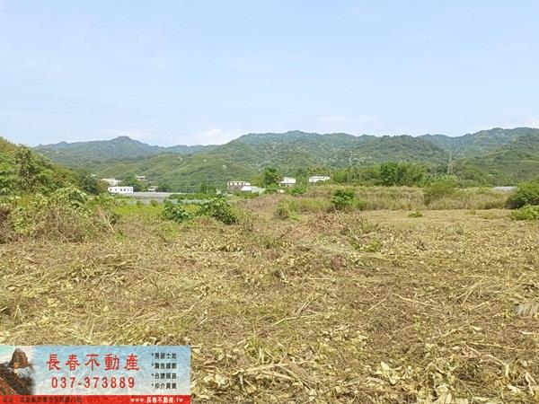 苗栗農地-1