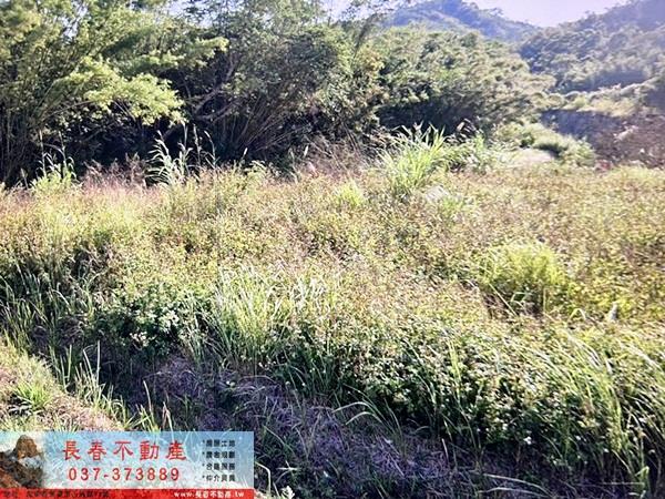 頭屋農地-0