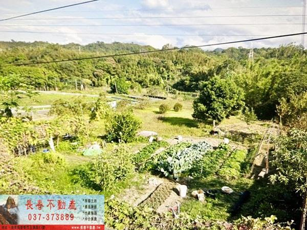 頭屋農地-2