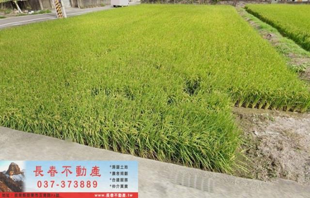 苗栗市農地-0