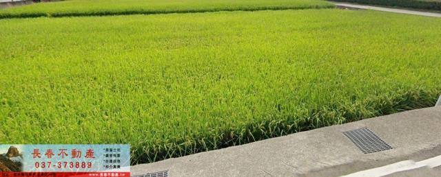 苗栗市農地-1