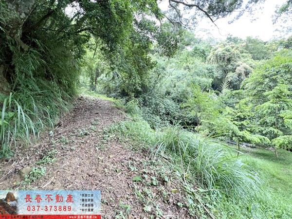 苗栗公館林地-10