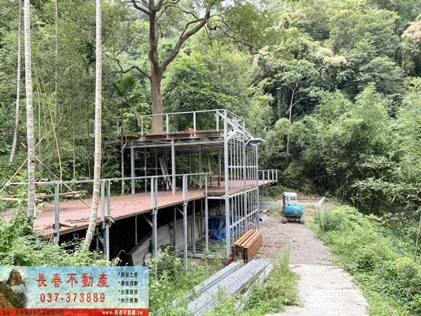 苗栗公館林地-1