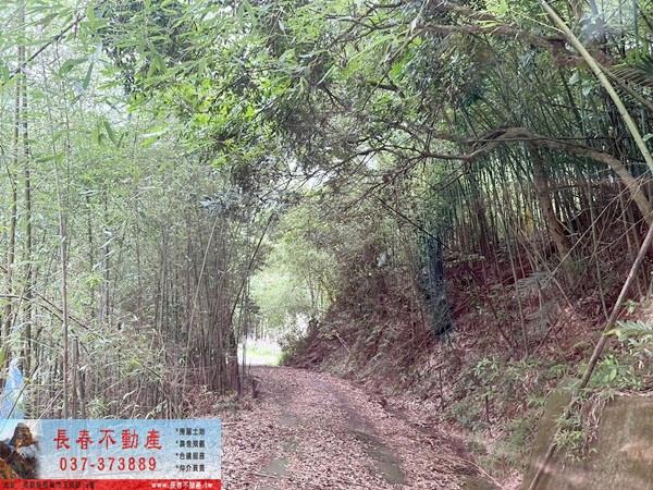 苗栗公館林地-4