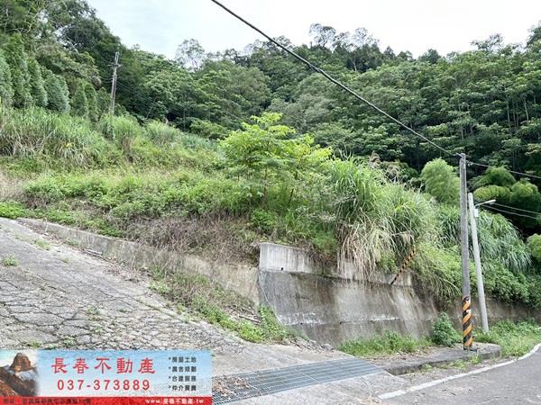 苗栗農地-9
