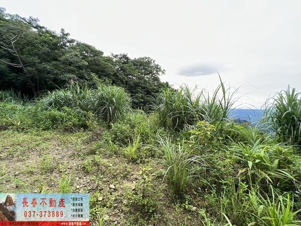 苗栗農地-0